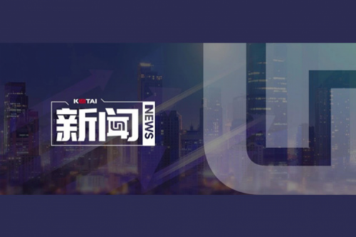 AI革新加速，suncitygroup太阳集团数码2024全年毛利额营收逆势双升